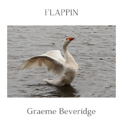 FLAPPIN