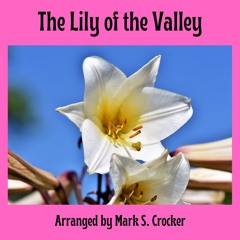 The  Lily Of The Valley