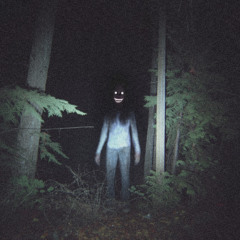 my forest friend