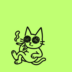 Selection Nº 5 |  D & B | ROLLAZ