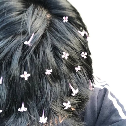 kanashimi - lost soul