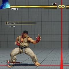 Fighting Game