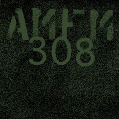 AMFM | 308