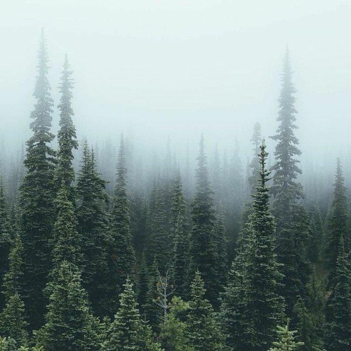 Deep Breakfast 054 - Coppice Halifax