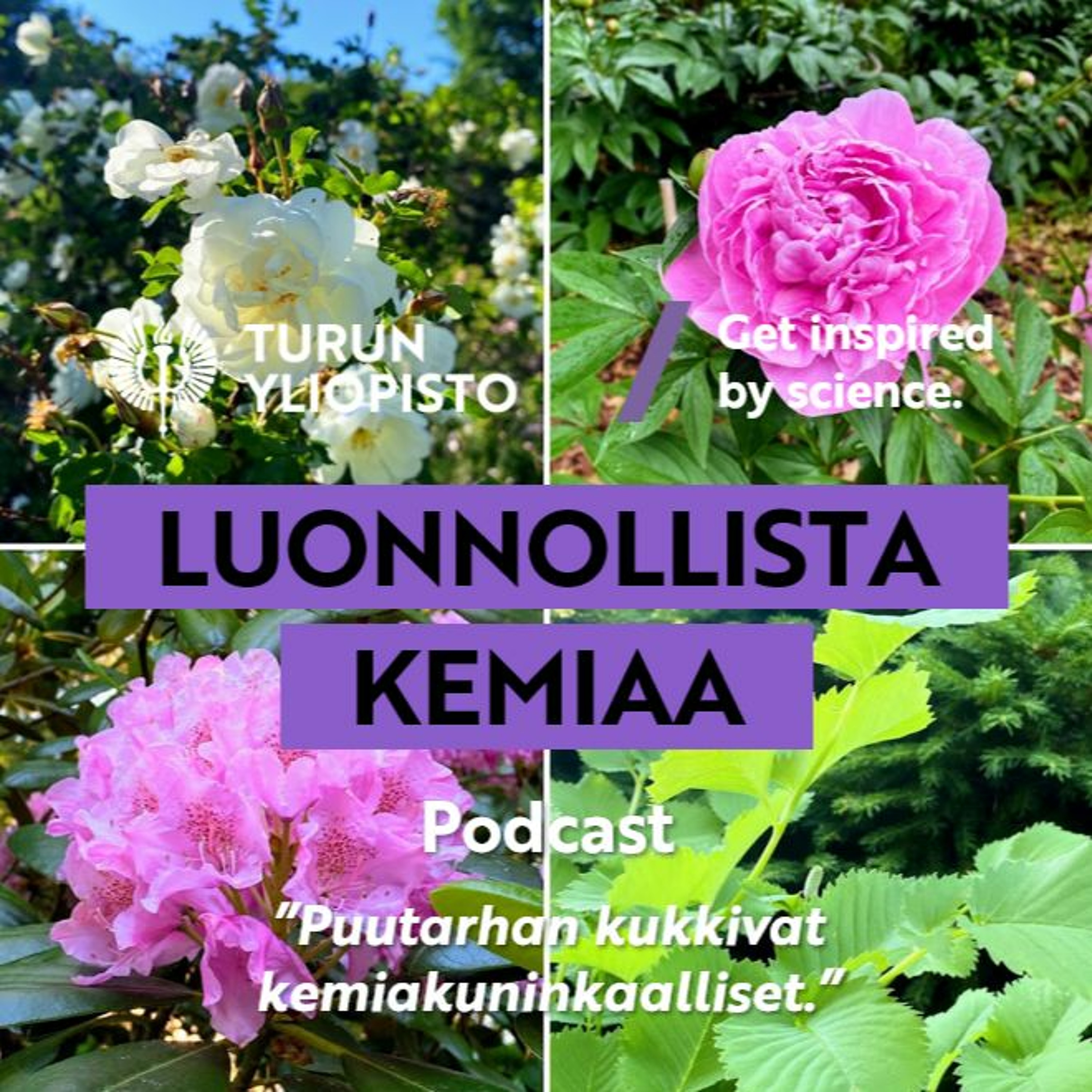 Luonnollista kemiaa: Puutarhan kukkivat kemiakuninkaalliset episode artwork