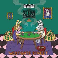 Premiere : Duncan Thomas - Westgate Street (Animal Crossing Music)