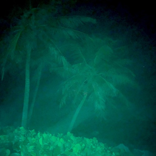 David Hasert & Esther Silex - 4AM