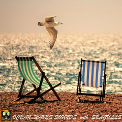 Ocean Waves Sounds with Seagulls - (Loop) - Sleep, Study, Relax