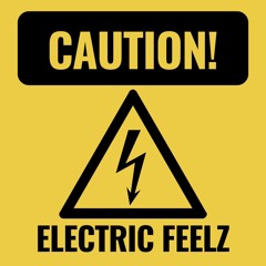 Electric Feelz ⚡️