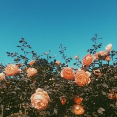 <3