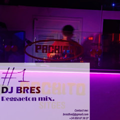 DJ BRES - Reggaeton Mix Ep. 1