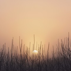 Calming and Relaxing