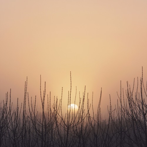 Calming and Relaxing