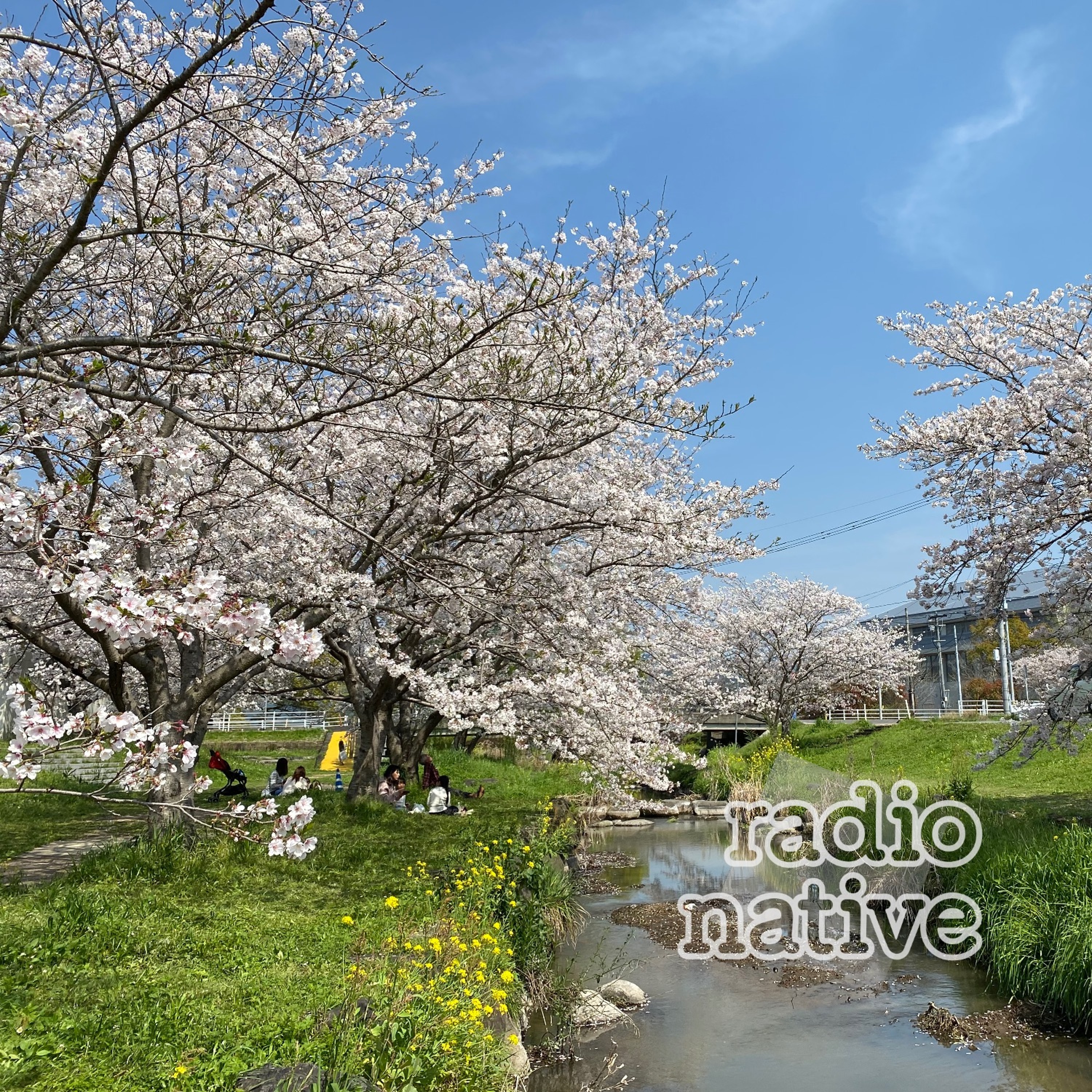 #029.【ゲスト：桑原孝太さん】震災から5年。熊本・益城町の「まちづくり」の今 episode artwork