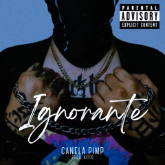 IGNORANTE