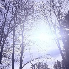 Beautiful Dream (prod. s0ftskelet0ns & irby)