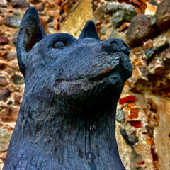 When you  are getting winter cold but need to follow a drum machine