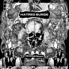 Hatred Surge - 16 Infinity