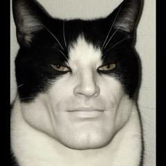 ELECTRO MIX 2025