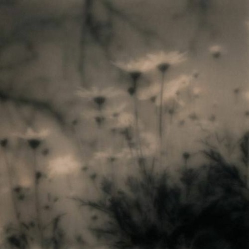 Stream Jodie Aysha Heartbroken Remix By Lord Ty Listen Online For