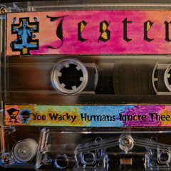 Yoo Wacky Humans Ignore Thee Truth... -  A - No Sweat Side. 1997