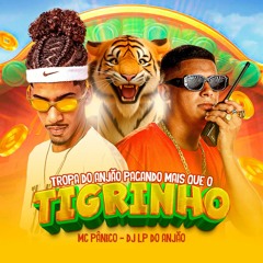 MC PÂNICO & DJ LP DO ANJÃO - TROPA DO TIGRINHO (TIK TOK )