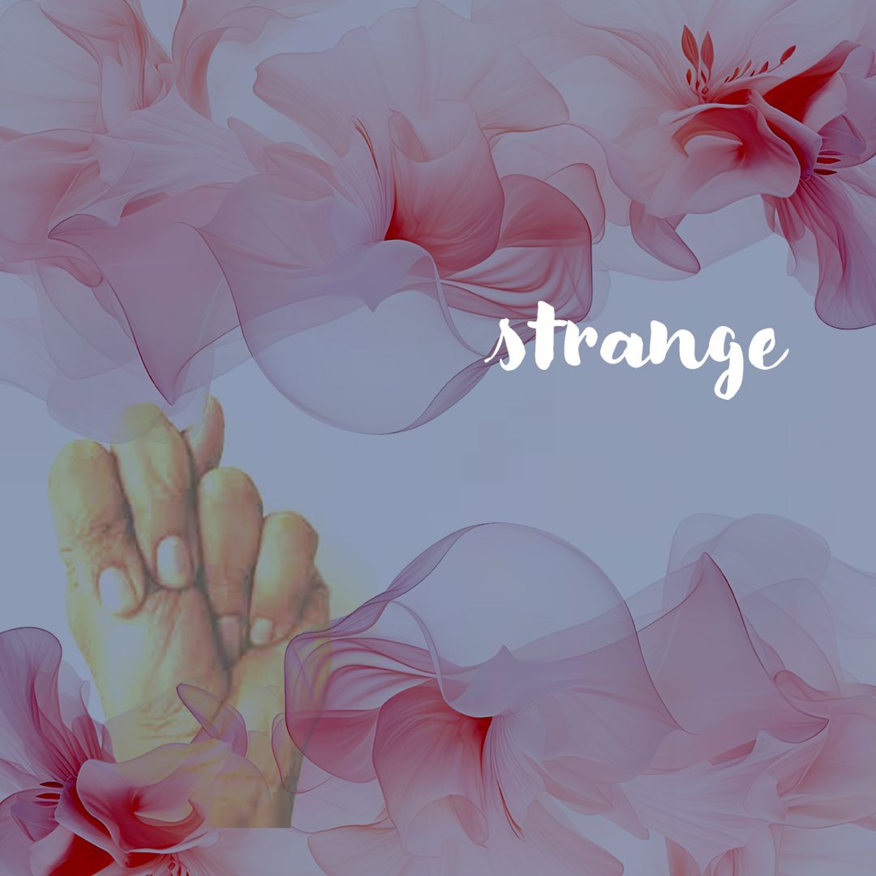 04292026 Strange episode artwork