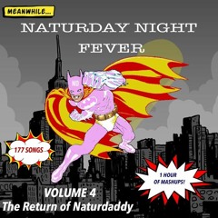 Naturday Night Fever Mix Vol. 4