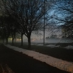 When You Were Born (cover)