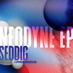 Seddig - Neodyne - Hardgroove