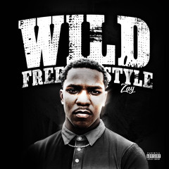 zay wild freestyle