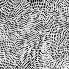 Neutron Moderator (2020)