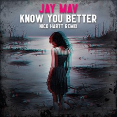 Jay Mav - Know You Better (Nico Hartt Remix)