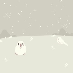 Snow Budgies (beta)