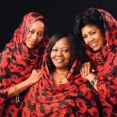 البلابل  -  ليل الشجن