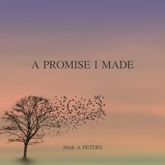 A Promise I made