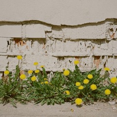 Sekmadienio Baladė (pagal M. Martinaitį)