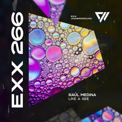 Raúl Medina - Like A Gee [Preview]
