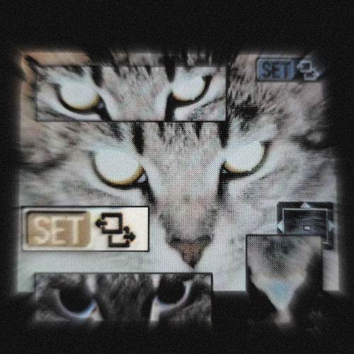 ⸸ ₦Ɇ ɄⱠɆ₮₳Ɏ ⸸