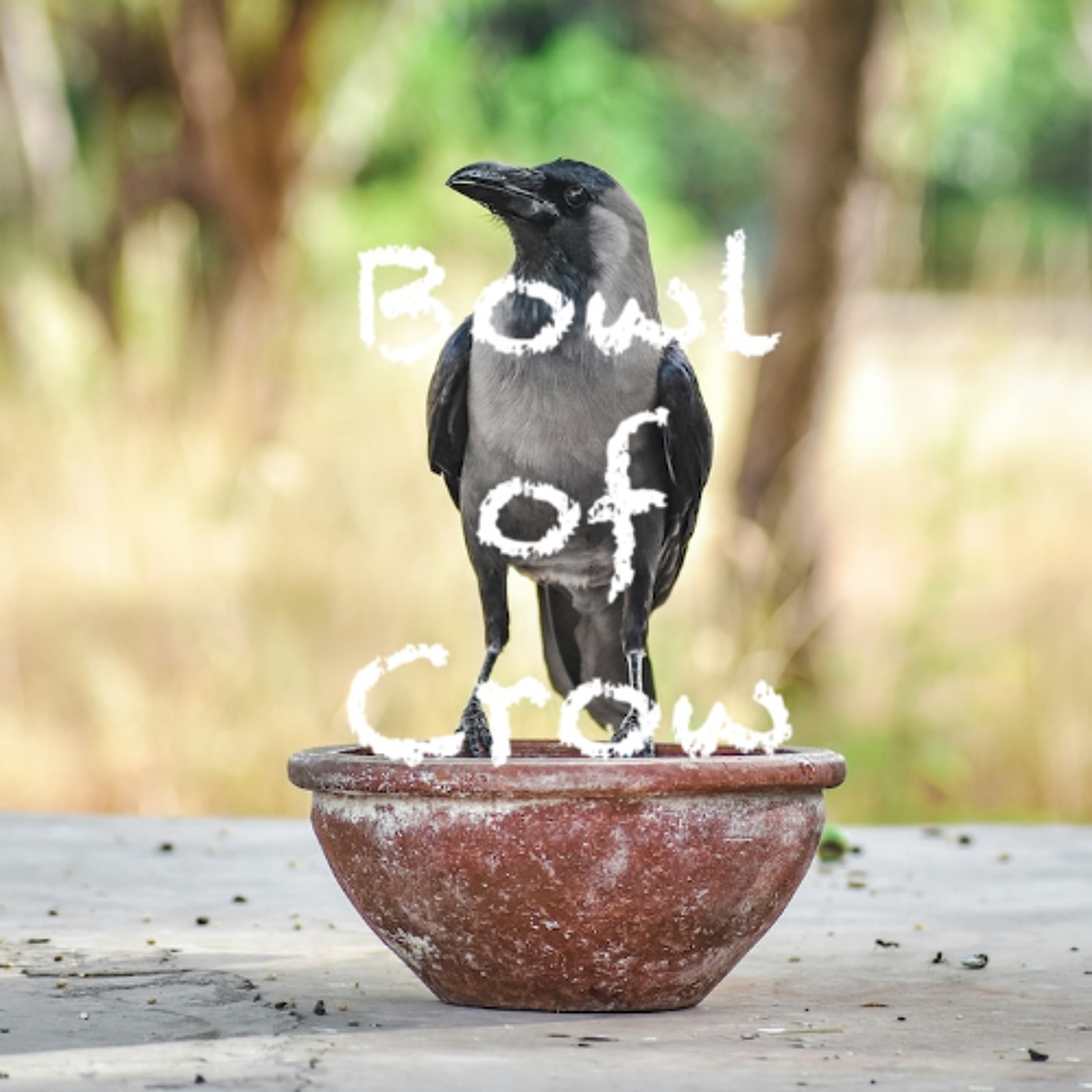 Bowl Of Crow episode artwork