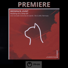 PREMIERE :Redspace, Kvint - Cloudy (Gonzalo Cotroneo & Casnik Remix) [PURRFECTION]