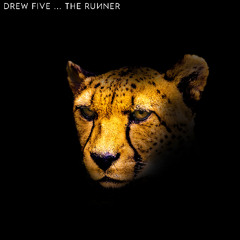 The Runner