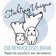 Interview Yvonne Van Dam Met Omroep Vlaardingen