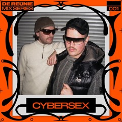 De Reünie Mix Series 001: Cybersex