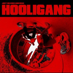 HOOLIGANG - Joey Valence & Brae (AtRysk Flip)