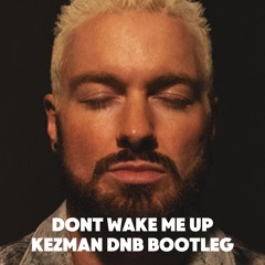 JAMES HYPE-DONT WAKE ME UP (KEZMAN BOOTLEG) FREE DOWNLOAD