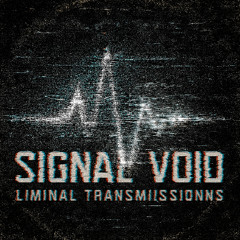 SIGNAL VOID //  ORIENTATION TRANSMISSION
