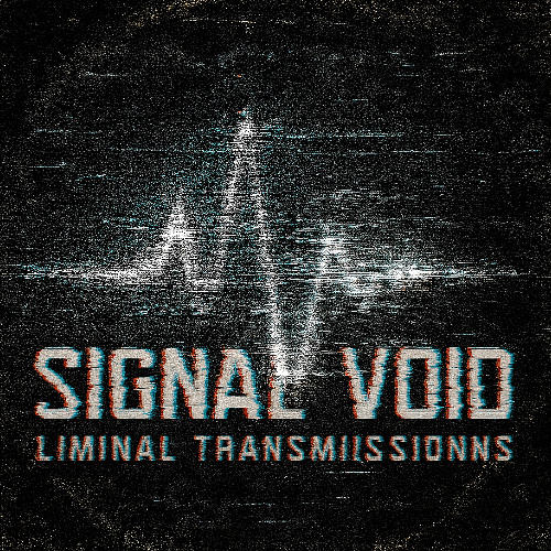 SIGNAL VOID //  ORIENTATION TRANSMISSION