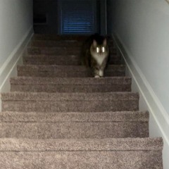 todo va a estar bien