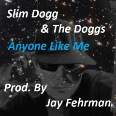 Slim Dogg & The Doggs - Anyone Like Me (Prod. By Jay Fehrman)